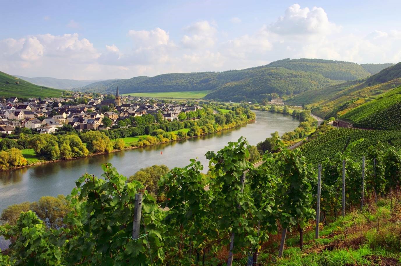 the-wine-region-moselle-river-valley