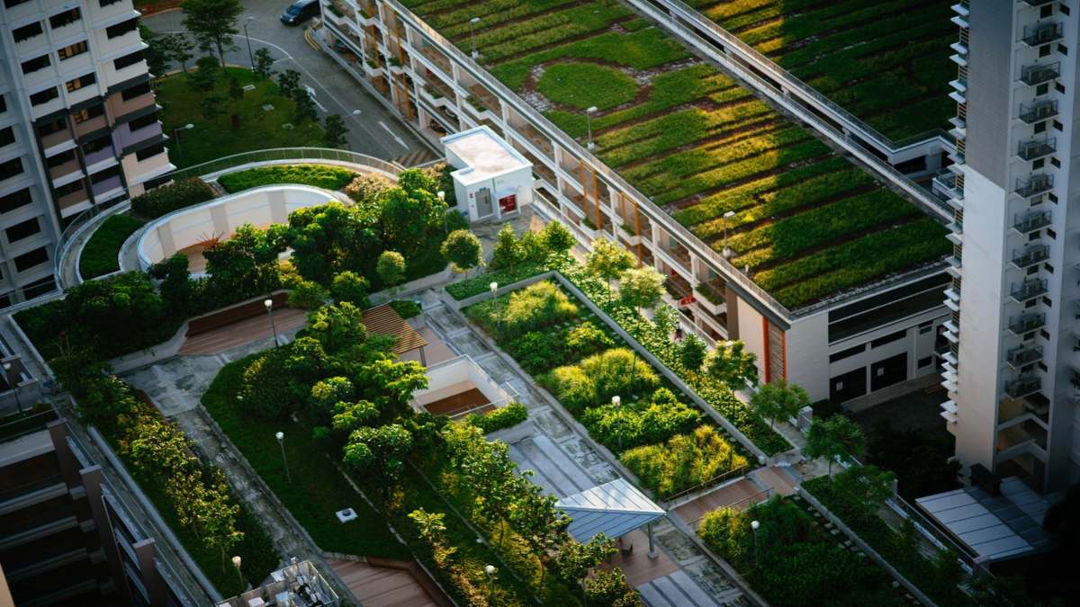 Πράσινες ταράτσες σε κτήρια του κόσμου