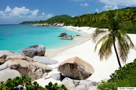 white sand beach and boulders and palm tree in Virgin Gorda, British Virgin Islands
