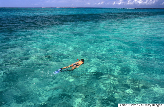 Cayman Islands, Grand Cayman, Rum Point. A snorkeller enjoys the clear turquoise waters off Grand Cayman.
