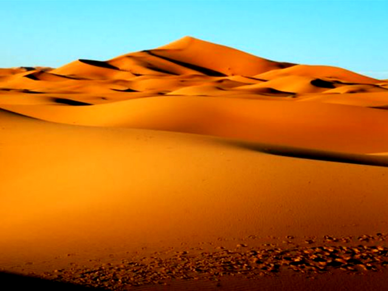 10 συγκλονιστικά πράγματα που σίγουρα δεν γνωρίζατε για την έρημο ...