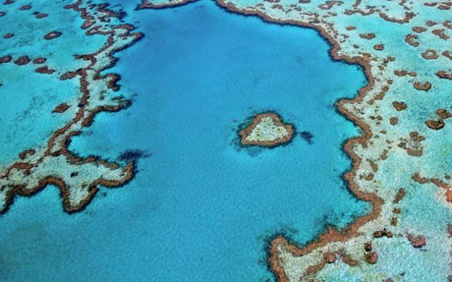 Μεγάλος κοραλλιογενής ύφαλος, Αυστραλία