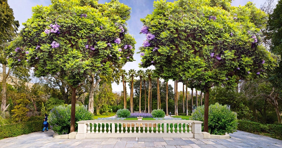 Εθνικός Κήπος