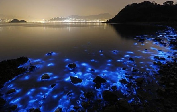 Μαγευτικές εικόνες από την ιριδίζουσα μπλε θάλασσα στο Χονγκ Κονγκ – Οι επιστήμονες προειδοποιούν ότι είναι τοξική (photos & video)