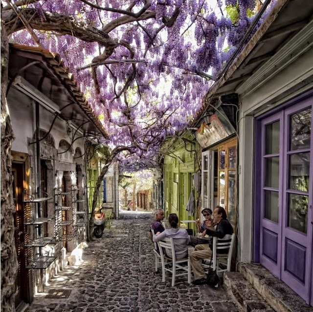 Πού βρίσκεται ο πιο όμορφος δρόμος που έχει η Ελλάδα;