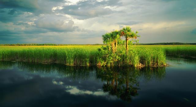 Εθνικό Πάρκο Everglades, ΗΠΑ