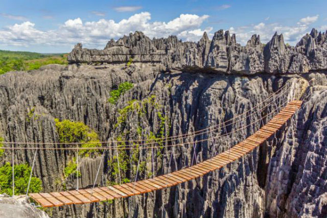 To πέτρινο δάσος της Μαδαγασκάρης "κρύβει" μια γέφυρα μόνο για θαρραλέους!