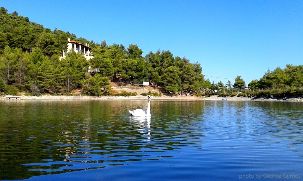 Σε απόσταση αναπνοής από την Αθήνα- Η άγνωστη λίμνη της Πάρνηθας