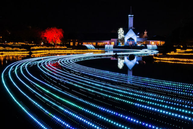 Ένα πάρκο στην Ιαπωνία που γεμίζει με φώτα κάθε χρόνο!