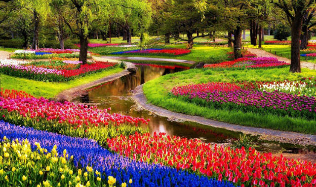 Keukenhof: Ο φημισμένος "Κήπος της Ευρώπης" στην Ολλανδία που γεμίζει με τουλίπες