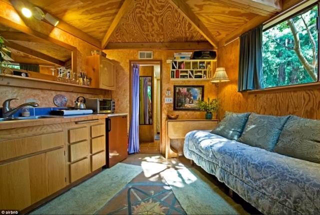 Mushroom Dome Cabin, Airbnb