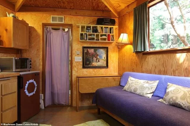 Mushroom Dome Cabin, Airbnb