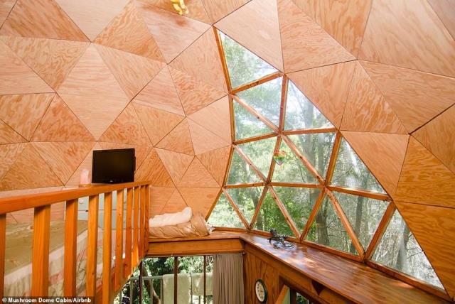 Mushroom Dome Cabin, Airbnb