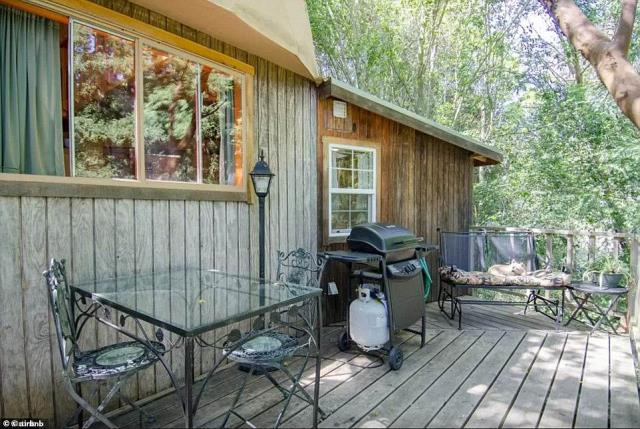 Mushroom Dome Cabin, Airbnb