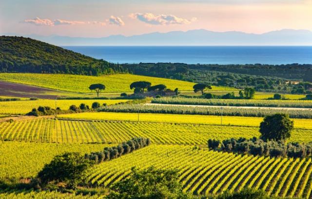 Bolgheri Τοσκάνη