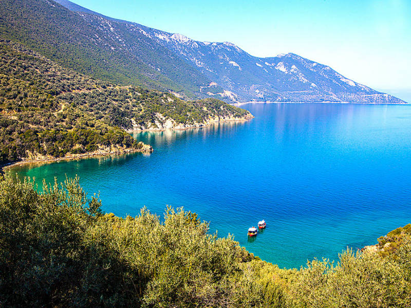 Πτελεός Μαγνησίας (Φτελιό)