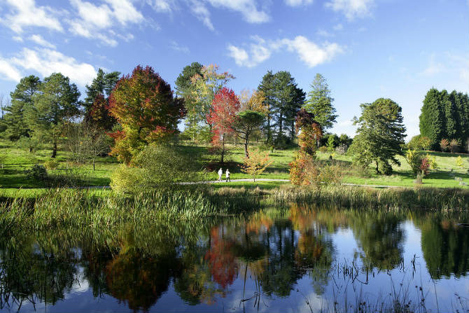 Bedgebury National Pinetum & Forest, Kent, νοτιοδυτική Αγγλία 