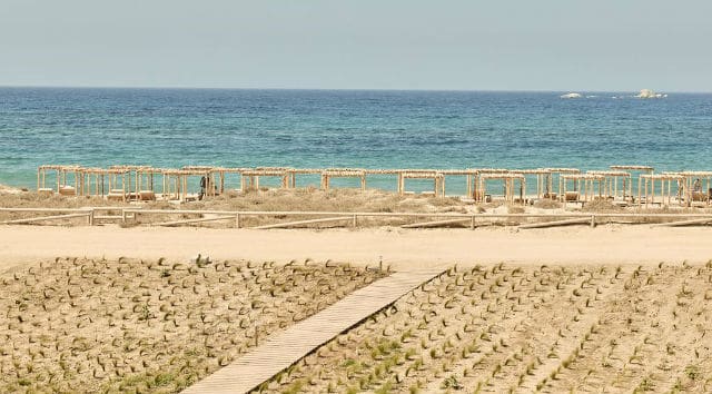 Naxian on the Beach