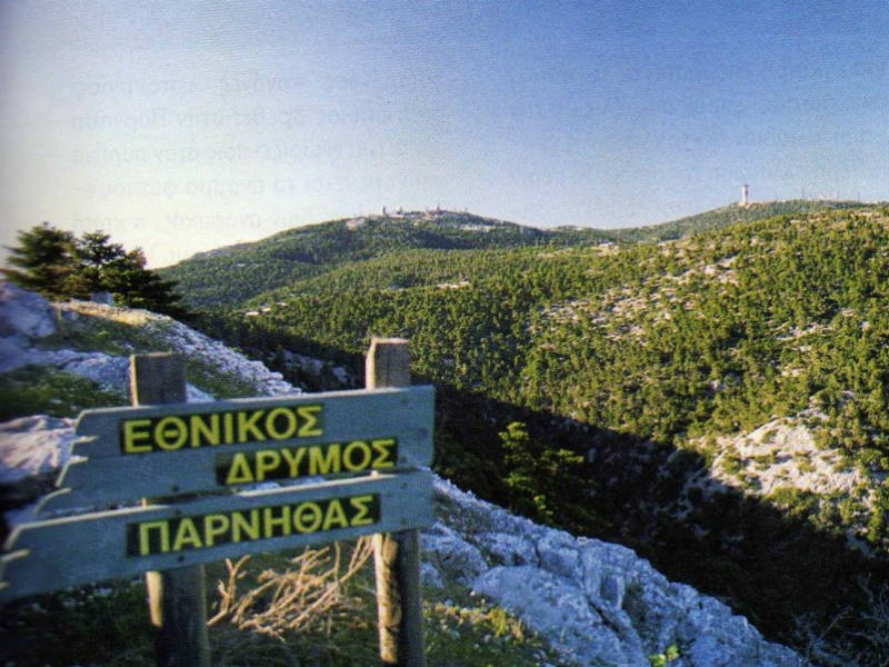 Εθνικός Δρυμός Πάρνηθας