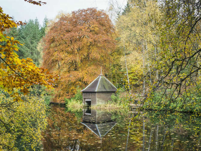 Faskally Wood, Perthshire, Σκωτία