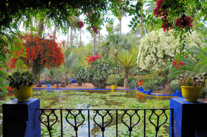 Κήπος Majorelle , Μαρακές, Μαρόκο
