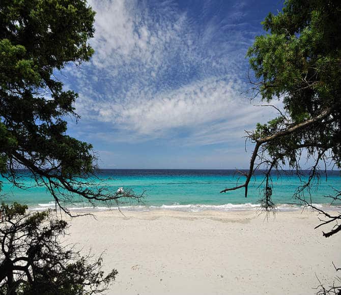 Plage de Saleccia, Κορσική