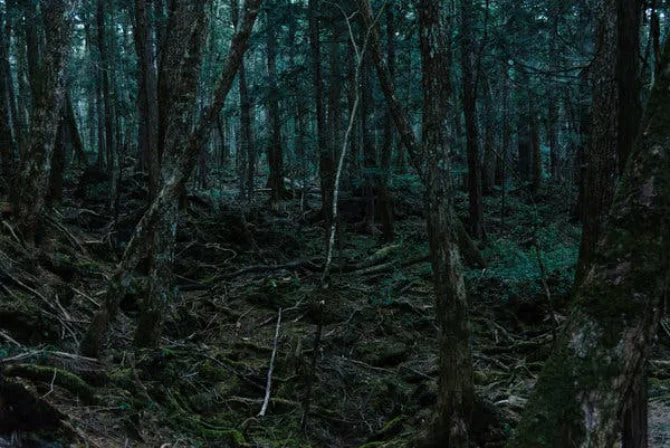 Aokigahara, Ιαπωνία τρομακτικά δάση