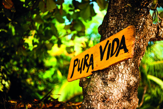 Pura Vida