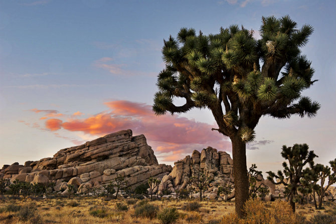 Εθνικό πάρκο Joshua Tree, Καλιφόρνια, ονειρικά μέρη