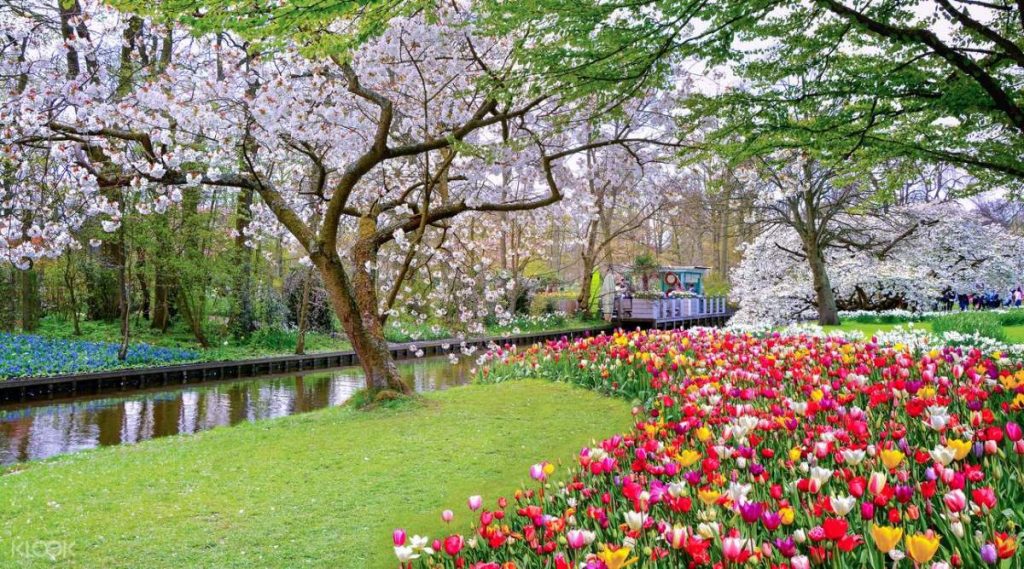 Κήποι Keukenhof, Ολλανδία 