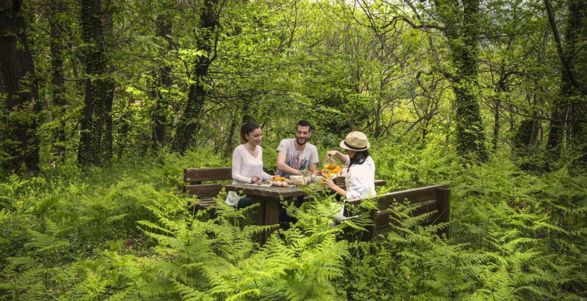 Premium Wellness: Ετοιμαστείτε για μια απόδραση ευεξίας στο Abeliona Retreat!