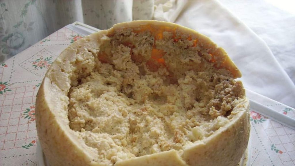 casu marzu τυρί