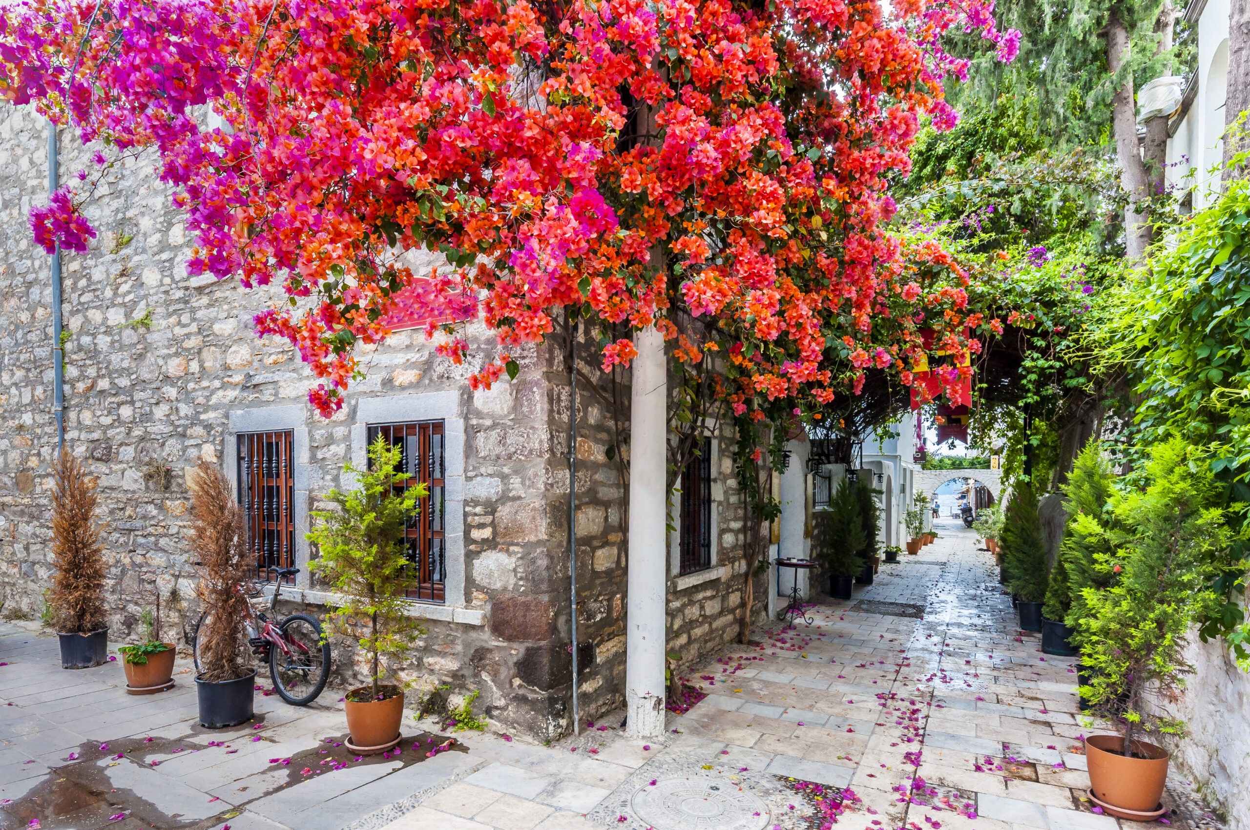 Αλικαρνασσός (Μπόντρουμ), Τουρκία