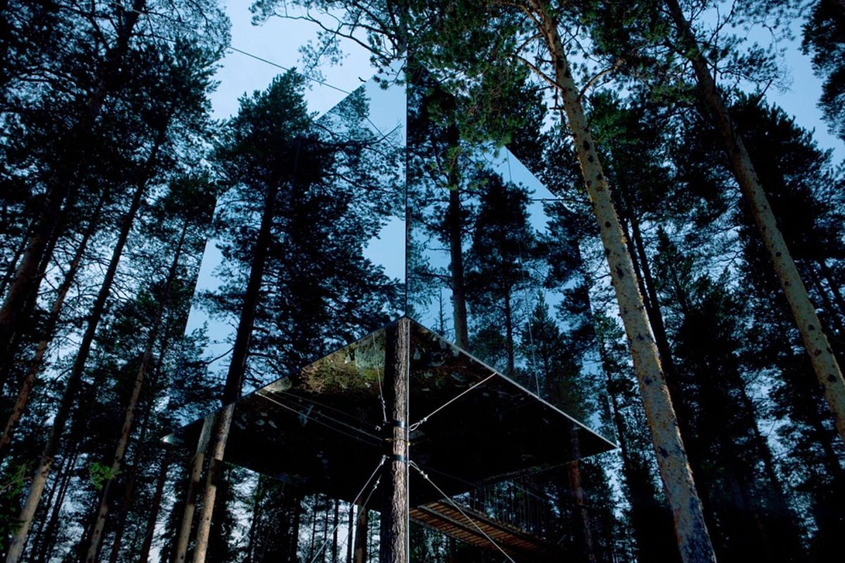 Tree Hotel  μέσα στο δάσος