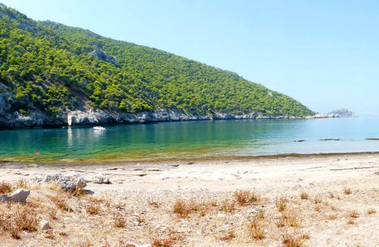 Μυλοκοπή
