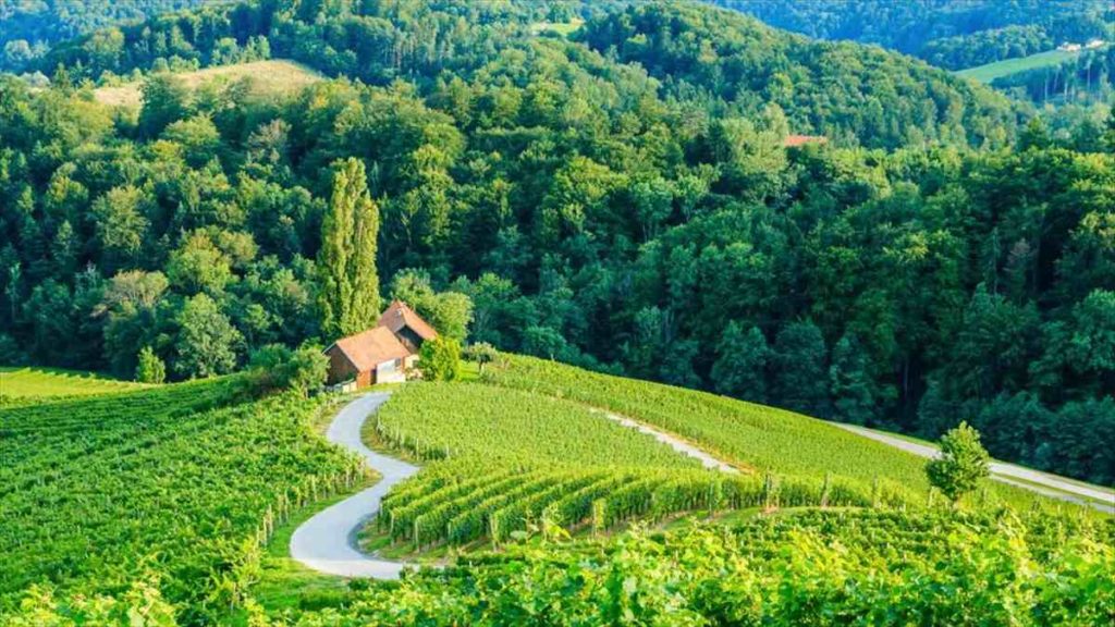 Στη Σλοβενία θα βρεις τον πιο πράσινο και ρομαντικό δρόμο του κόσμου