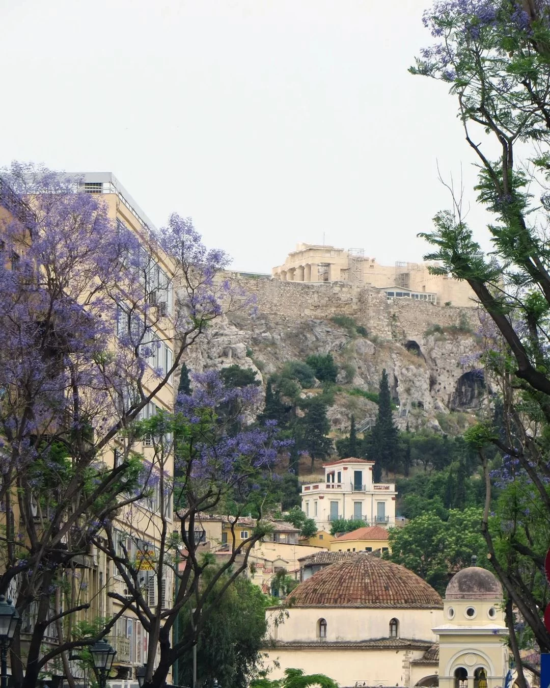 Γιακαράντα στην οδό Αθηνάς