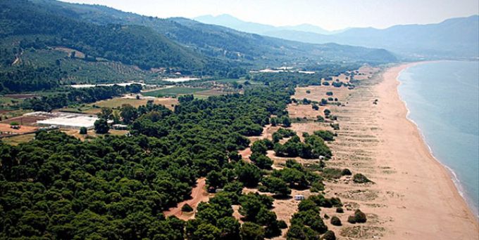 Ελαία: ένας επίγειος παράδεισος στη Μεσσηνία (βίντεο)