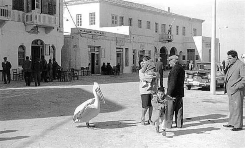 Πέτρος Πελεκάνος, Μύκονος