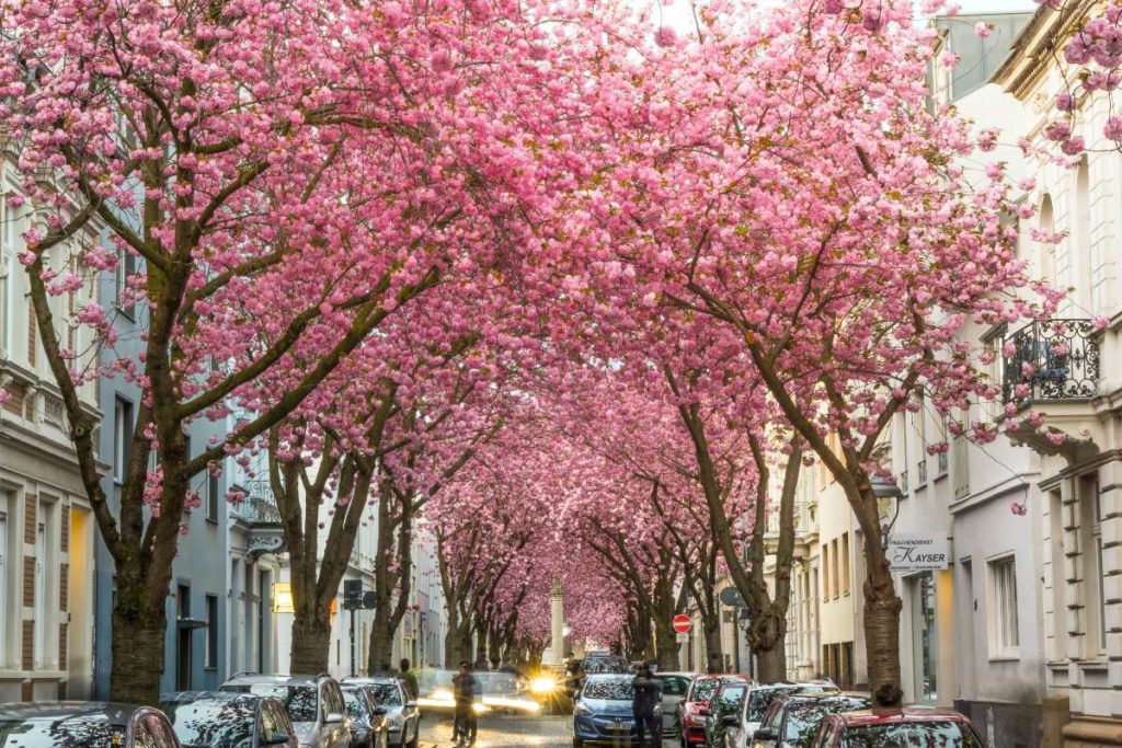 Heerstraße, Bonn, Germany