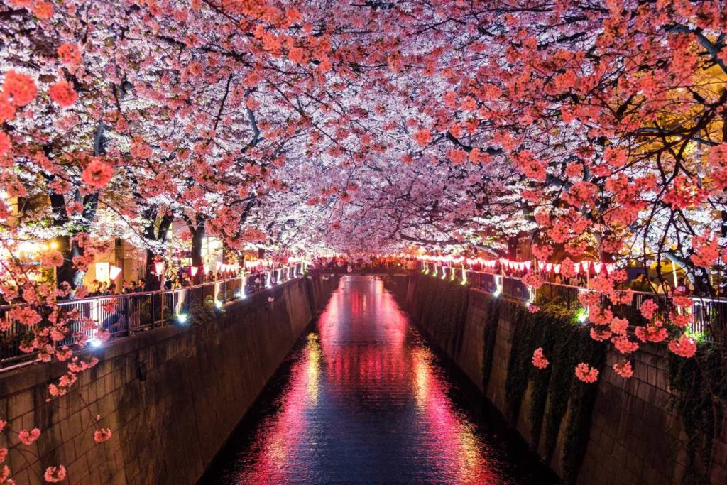 Kyoto, Japan