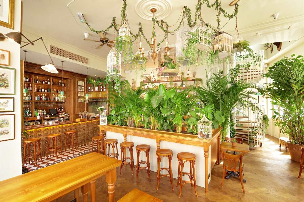 Botanical bar, Λονδίνο