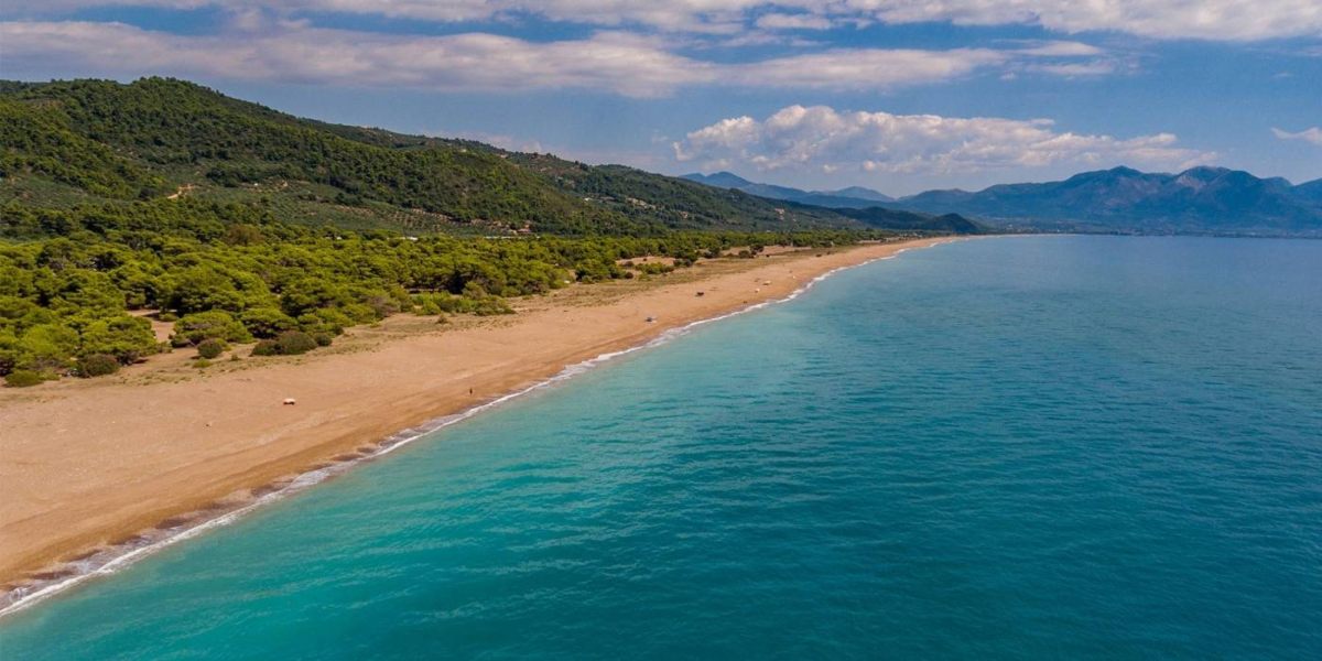 ελαία cover