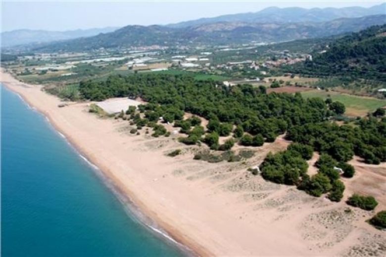 Ελαία παραλία