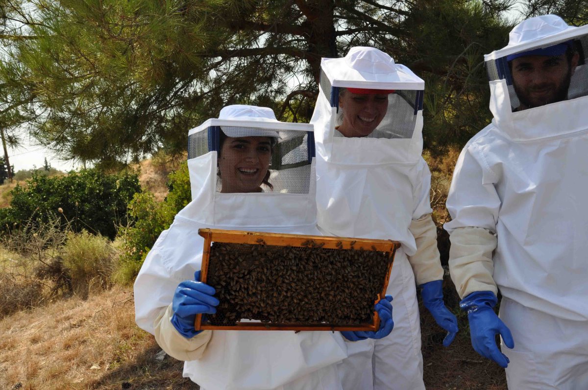 Μελισσοκομική Δωδεκανήσου