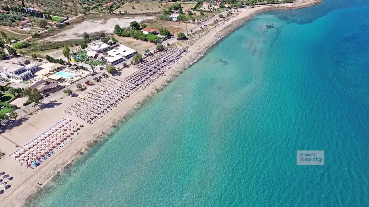 Αλυκές Δροσιάς