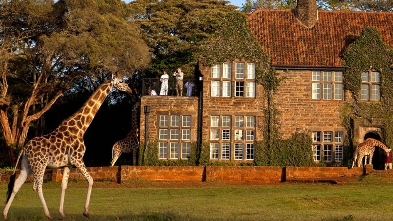 Giraffe Manor, Σουηδία ξενοδοχείο διαμονή 2