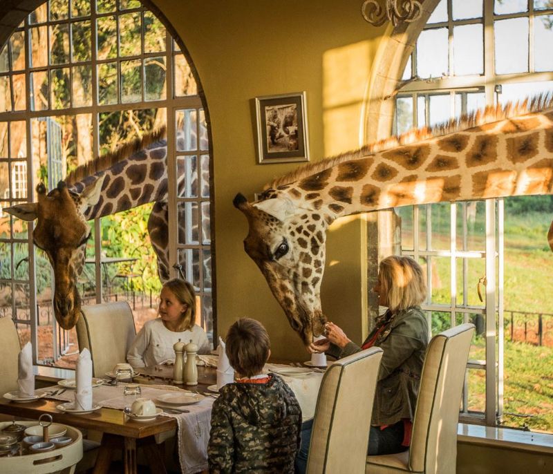 Giraffe Manor, Σουηδία ξενοδοχείο διαμονή 1