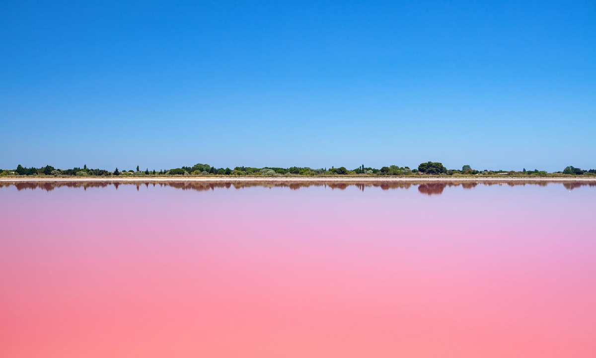 Ροζ λίμνη Camargue, Γαλλία