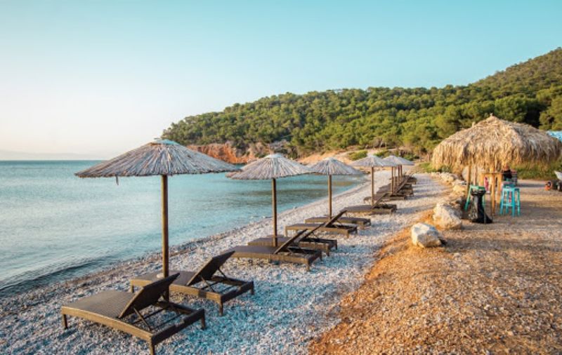Δραγονέρα Αγκίστρι